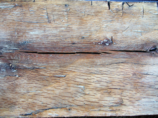 Wakatomika Beautifull Log 2